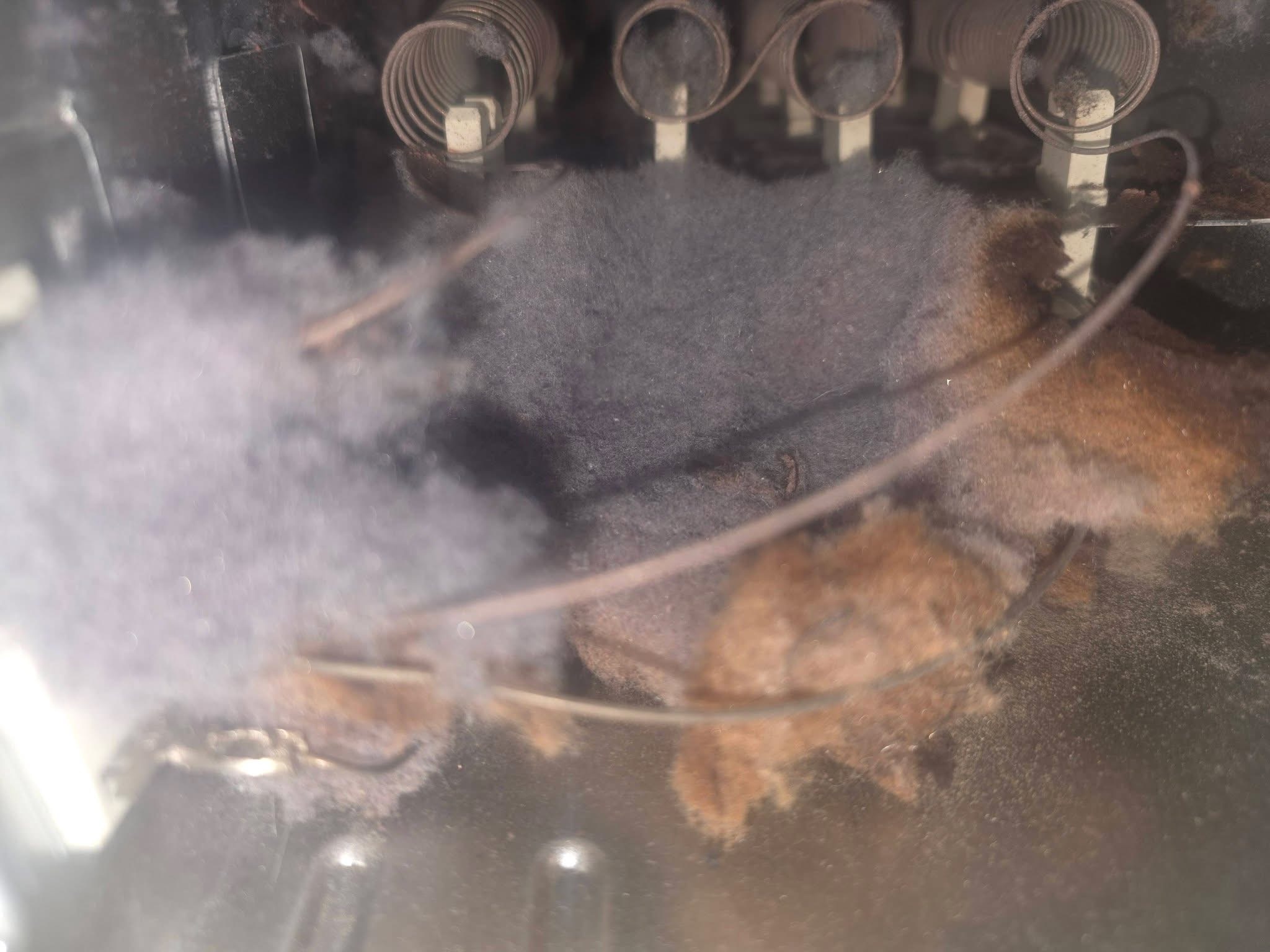 Close view of lint accumulated near the dryer's heating coils before cleaning